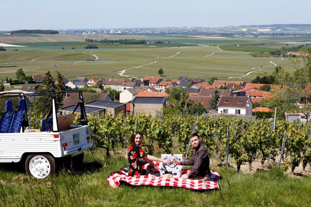 Chigny-les-Roses Cottages Antoinette מראה חיצוני תמונה