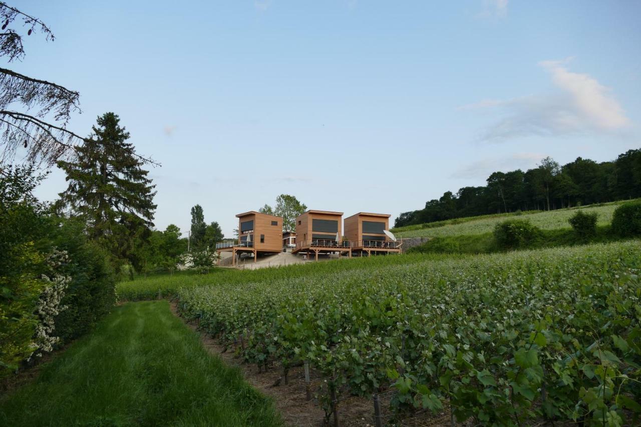 Chigny-les-Roses Cottages Antoinette מראה חיצוני תמונה