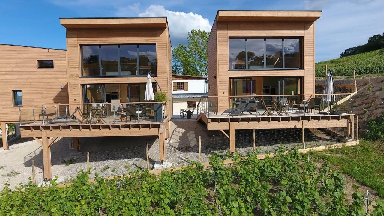 Chigny-les-Roses Cottages Antoinette מראה חיצוני תמונה