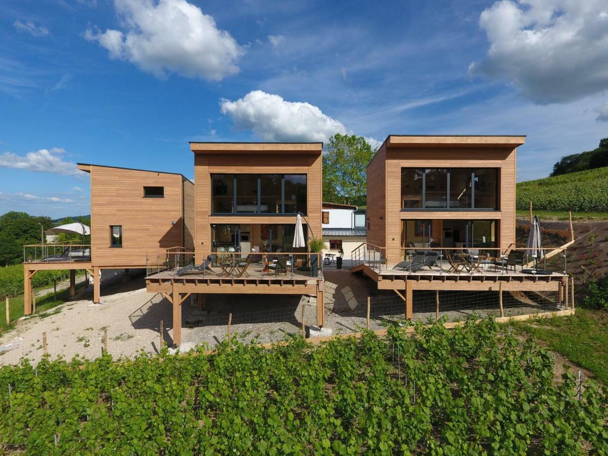 Chigny-les-Roses Cottages Antoinette מראה חיצוני תמונה